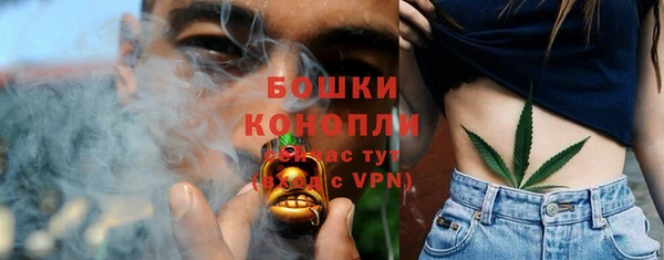 ешки Богородск